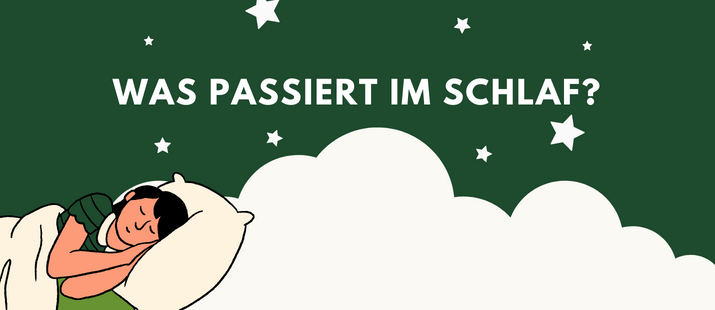Was passiert eigentlich im Schlaf? Unsere Infografik – mySheepi