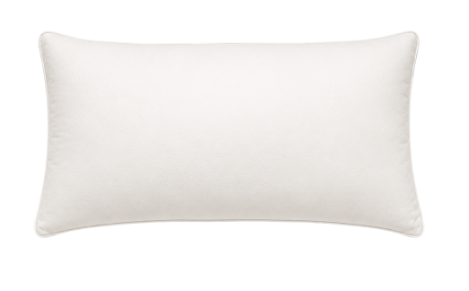 Kopfteil Querschnitt